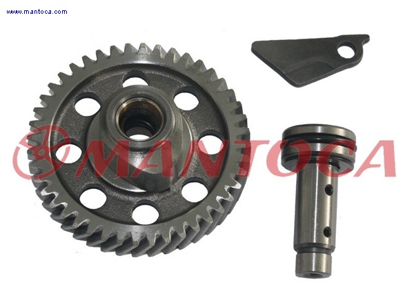 Cam Shaft assy