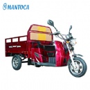Handicapped CargoTricycle: MTC-24